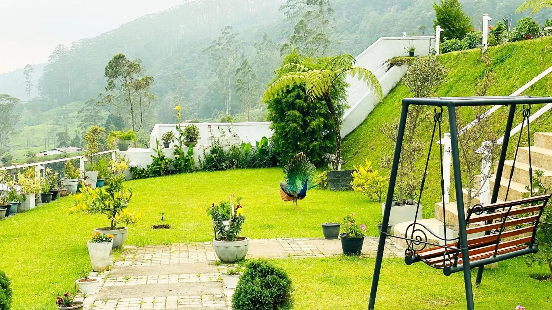 Hilldale Retreat Villa Nuwara Eliya