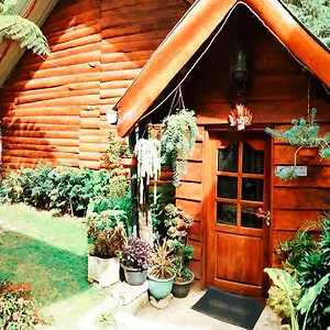 Moon Plains Forest Log Chalet